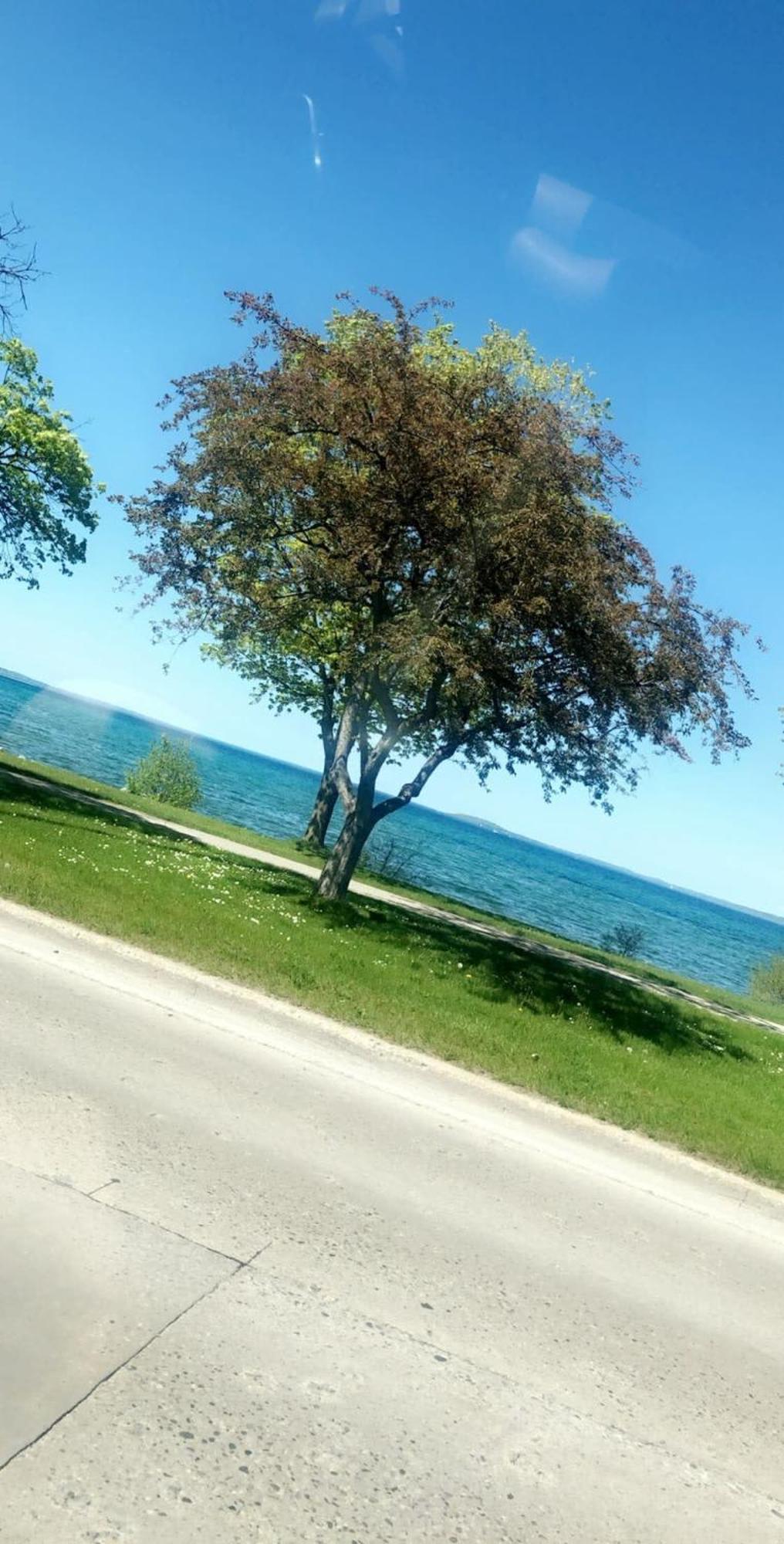 Downtown Traverse City Condo - Capri 209 المظهر الخارجي الصورة
